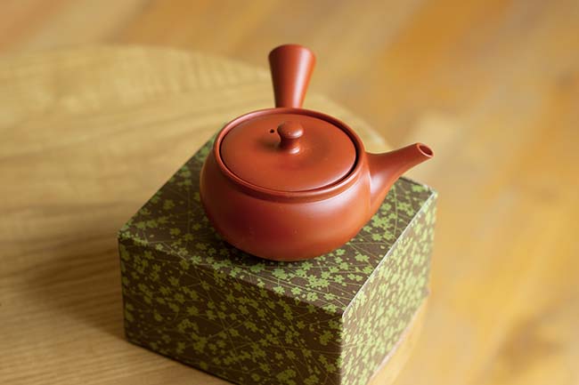 Théière Japonaise Kyusu - La Maison du Mochi